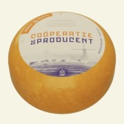 Zrzut ekranu 2026-01-31 134517.jpg