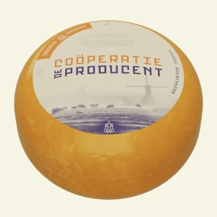 Zrzut ekranu 2026-01-31 134517.jpg