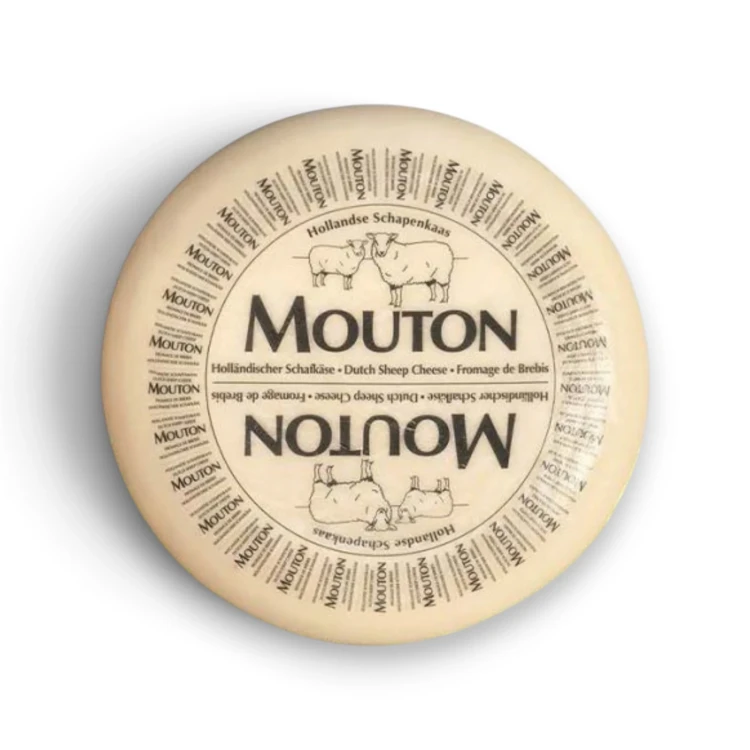 ser-owczy-mouton-młody-holenderski-krąg.webp