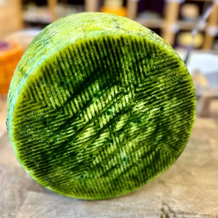 ser-owczy-vega-sotuelamos-pesto-zielone